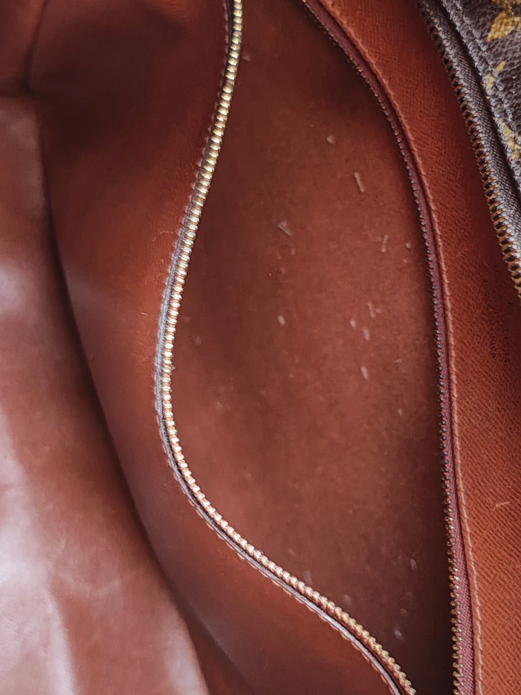 Borsa Louis Vuitton Nile