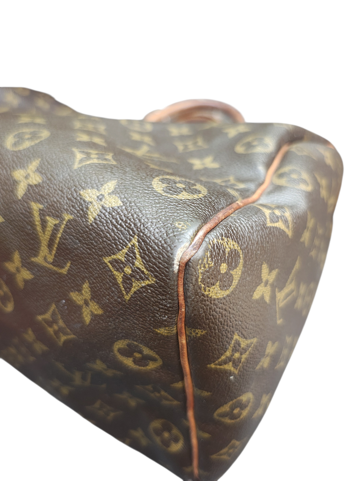 Speedy Louis Vuitton