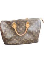 Speedy Louis Vuitton